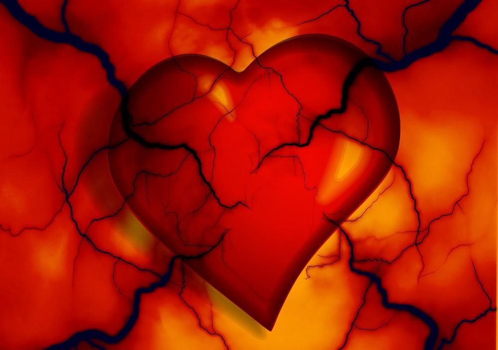 illustration of a valentine's-day-style heart with blood vessels